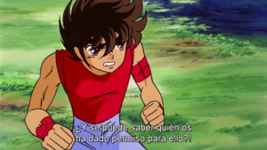 Los Caballeros del Zodiaco: La leyenda de los santos escarlatas (Película 3)