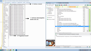 Seedear archivos descargados por DD