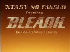 Bleach: The Sealed Sword Frenzy