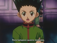 Hunter X Hunter