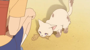 Haru en el Reino de los Gatos