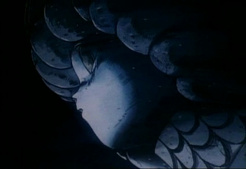 Proyecto A-Ko 4: Final