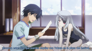 IS: Infinite Stratos 2