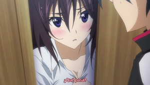 IS: Infinite Stratos 2