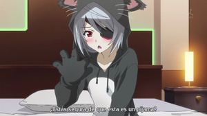 IS: Infinite Stratos 2