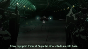 IS: Infinite Stratos 2