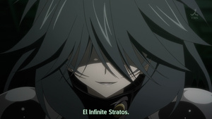 IS: Infinite Stratos 2