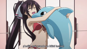 IS: Infinite Stratos 2