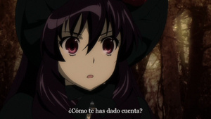 Dantalian no Shoka: Ibarahime