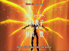 Renewal of Evangelion
