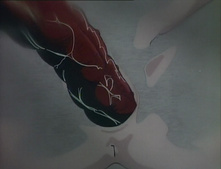 Urotsukidōji: Legend of the Overfiend