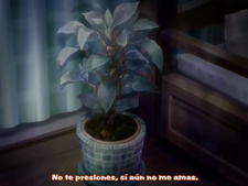 Boku wa Imouto ni Koi wo Suru