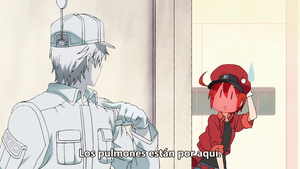 Hataraku Saibou