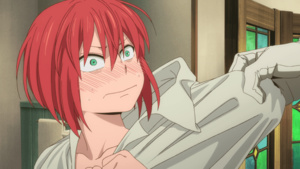 The Ancient Magus Bride