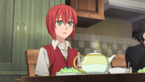 The Ancient Magus Bride OVA: El que espera a las estrellas