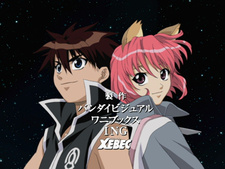 Candidate for Goddess (Fansubber)