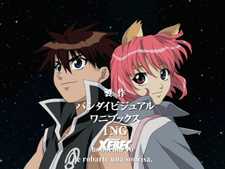 Candidate for Goddess OVA (Fansubber)