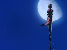 Honoo no Labyrinth (Fansubber)