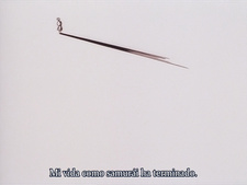 Honoo no Labyrinth (Fansubber)