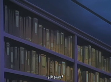 El Juego Misterioso: Fushigi Yugi