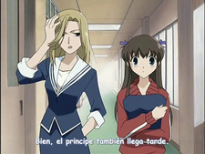 Fruits Basket