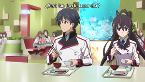 IS: Infinite Stratos