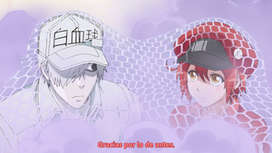 Hataraku Saibou (TV)