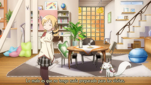 Puella Magi Madoka Magica