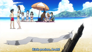 Natsu no Arashi! Akinaichuu