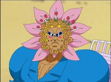 bobobo