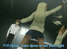 Yamato Nadeshiko Shichi Henge