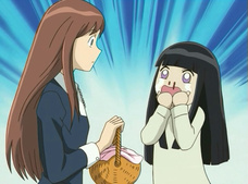 Yamato Nadeshiko Shichi Henge