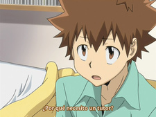 Katekyō Hitman Reborn!