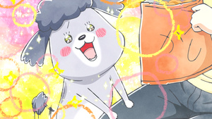 Inu to Neko Docchi mo Katteru to Mainichi Tanoshii