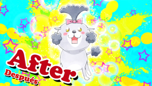 Inu to Neko Docchi mo Katteru to Mainichi Tanoshii