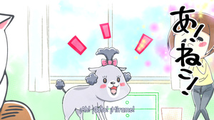 Inu to Neko Docchi mo Katteru to Mainichi Tanoshii